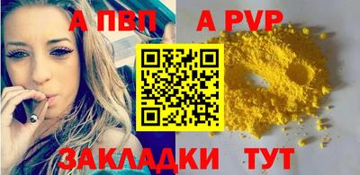 шишки Тара