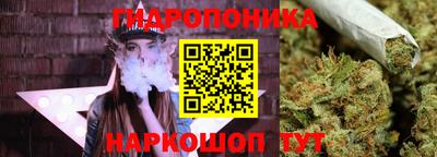 шишки Тара