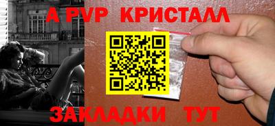 шишки Тара