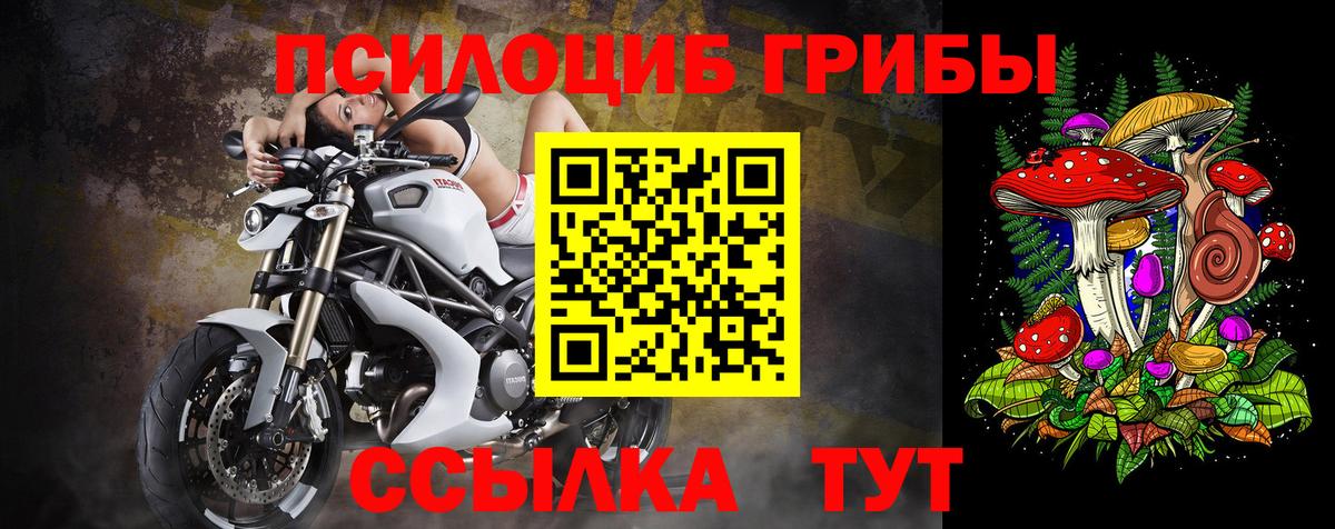 Нижнеудинск  Галлюциногенные грибы Magic Shrooms  Вход с VPN  купить   Галлюциногенные грибы Psilocybe 