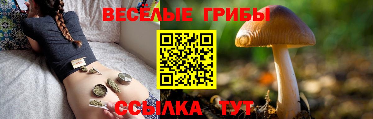 Галлюциногенные грибы Cubensis Нижнеудинск
